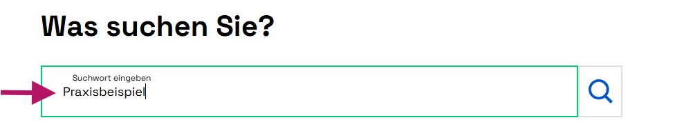 Ein Eingabefeld zur Suche, darin das Wort Praxisbeispiel.