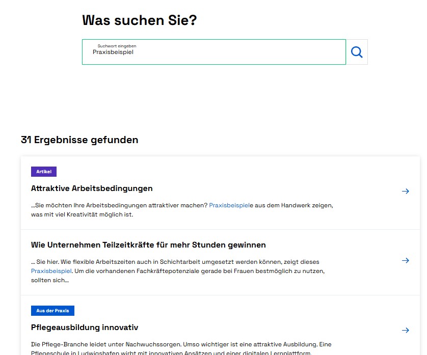Eine Seite mit Suchergebnissen zum Thema Praxisbeispiele.