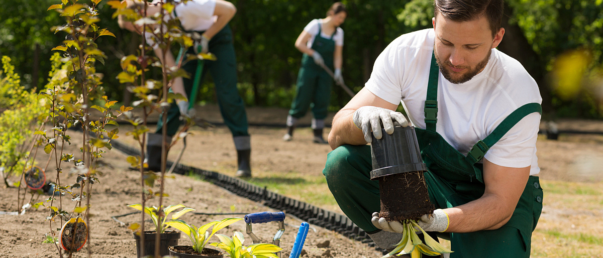 Fachkräftemangel im Gartenbau – mehr als ein Saisonproblem